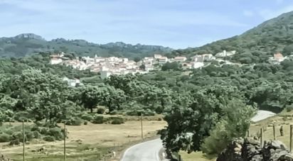 House T1 in Ribeira de Nisa e Carreiras of 36 m²