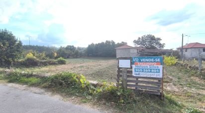 Terrain à bâtir à Cambra e Carvalhal de Vermilhas de 5 573 m²