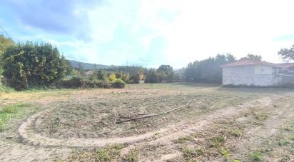 Terrain à bâtir à Cambra e Carvalhal de Vermilhas de 5 573 m²