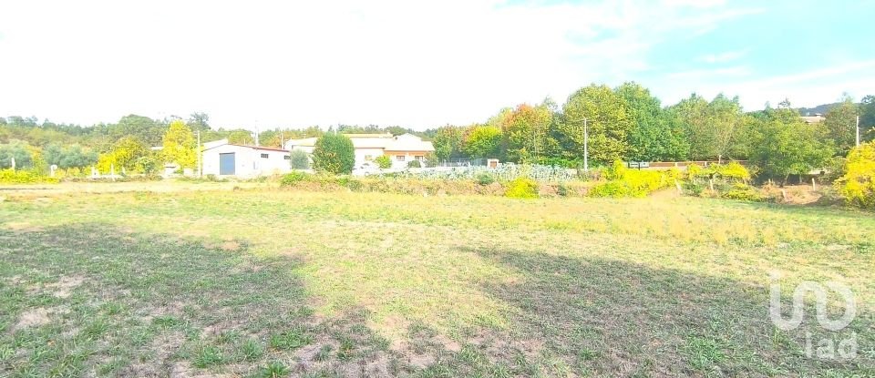 Terrain à bâtir à Cambra e Carvalhal de Vermilhas de 5 573 m²