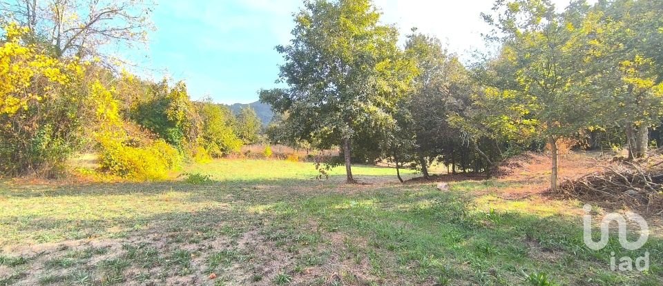 Terrain à bâtir à Cambra e Carvalhal de Vermilhas de 5 573 m²