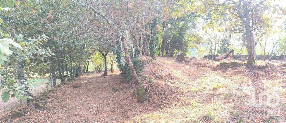 Terrain à bâtir à Cambra e Carvalhal de Vermilhas de 5 573 m²