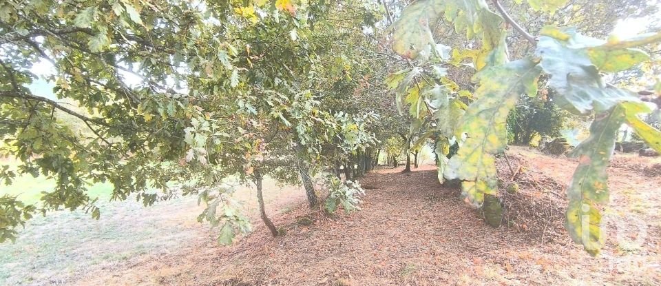 Terrain à bâtir à Cambra e Carvalhal de Vermilhas de 5 573 m²