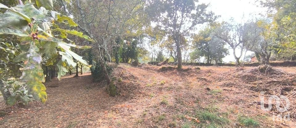 Terrain à bâtir à Cambra e Carvalhal de Vermilhas de 5 573 m²