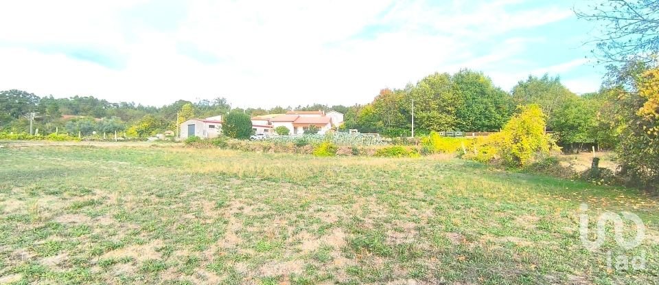 Terrain à bâtir à Cambra e Carvalhal de Vermilhas de 5 573 m²