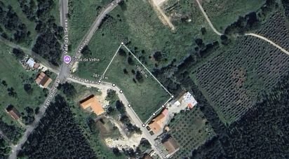 Terrain à Alcobertas de 4 228 m²