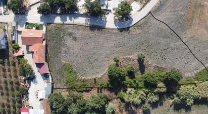 Terrain à Alcobertas de 4 228 m²