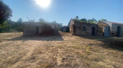 Maison de village T0 à Maxial e Monte Redondo de 123 m²