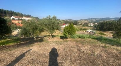 Maison de village T0 à Maxial e Monte Redondo de 123 m²