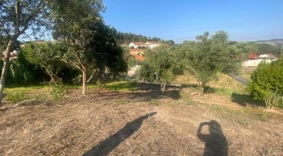 Maison de village T0 à Maxial e Monte Redondo de 123 m²