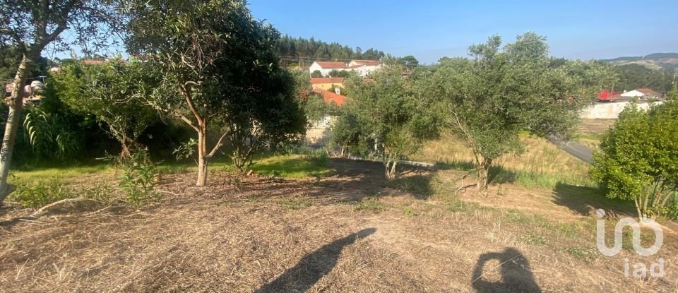 Casa de aldeia T0 em Maxial e Monte Redondo de 123 m²