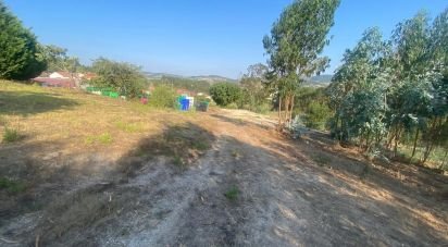 Maison de village T0 à Maxial e Monte Redondo de 123 m²