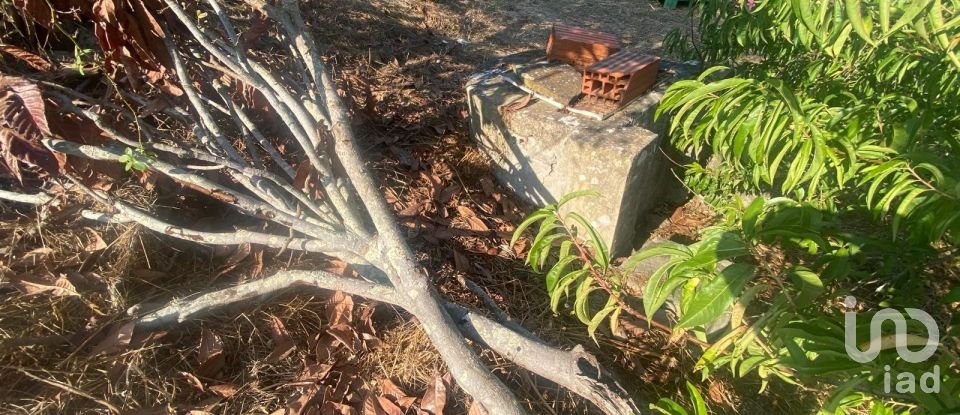 Casa de aldeia T0 em Maxial e Monte Redondo de 123 m²