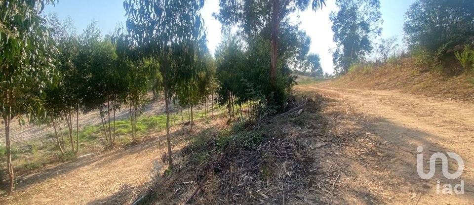 Casa de aldeia T0 em Maxial e Monte Redondo de 123 m²