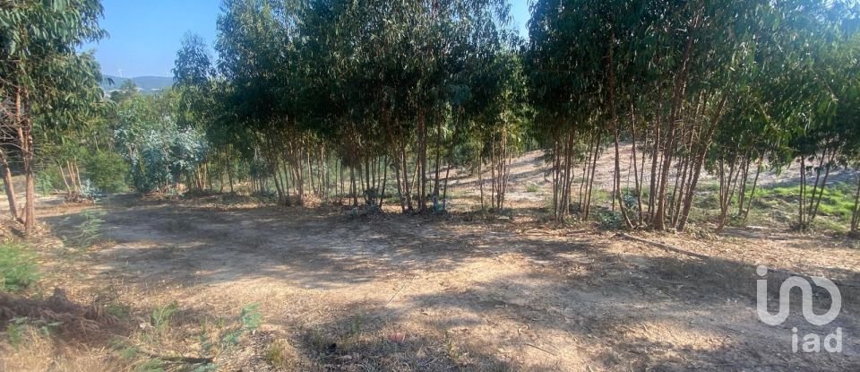 Casa de aldeia T0 em Maxial e Monte Redondo de 123 m²