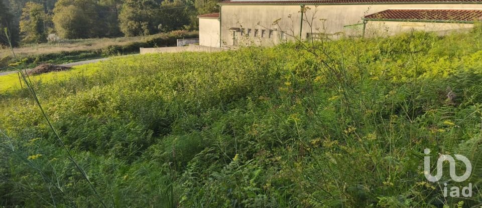 Land in Torre E Vila Mou of 400 m²