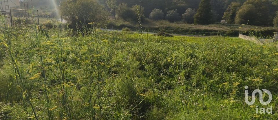 Land in Torre E Vila Mou of 400 m²