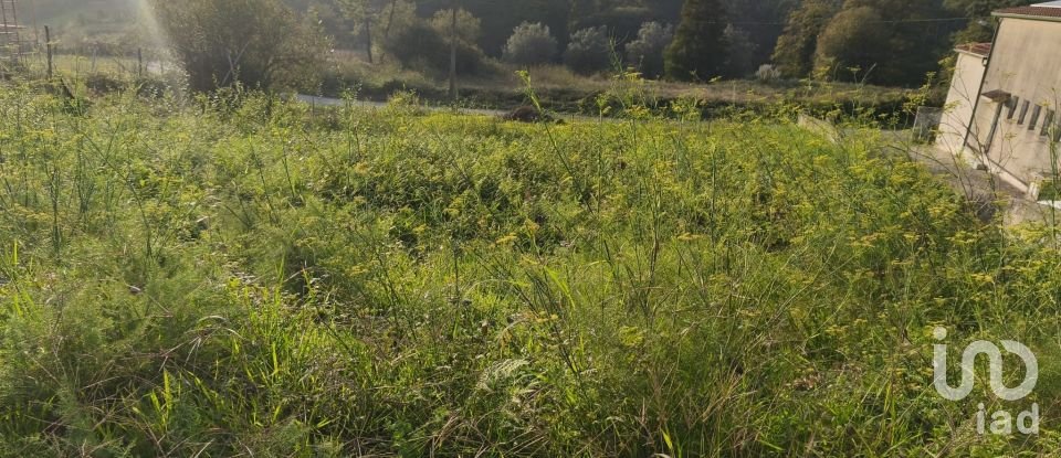 Land in Torre E Vila Mou of 400 m²