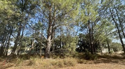 Terrain agricole à Quinta do Anjo de 330 m²