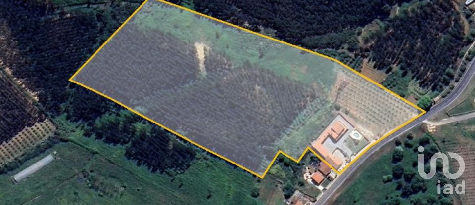 Herdade T5 em Lamas e Cercal de 372 m²