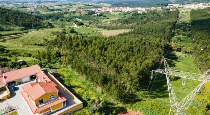 Domaine T5 in Lamas e Cercal of 372 m²