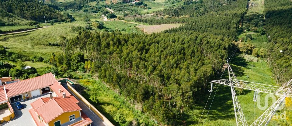 Herdade T5 em Lamas e Cercal de 372 m²