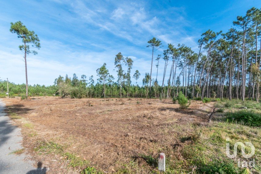 Terreno em Monte Redondo e Carreira de 4 510 m²