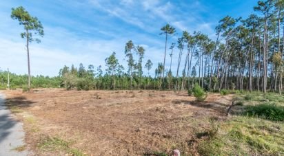 Terrain à Monte Redondo e Carreira de 4 510 m²