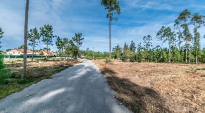 Terrain à Monte Redondo e Carreira de 4 510 m²