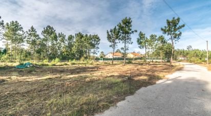 Terrain à Monte Redondo e Carreira de 4 510 m²