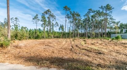 Terrain à Monte Redondo e Carreira de 4 510 m²