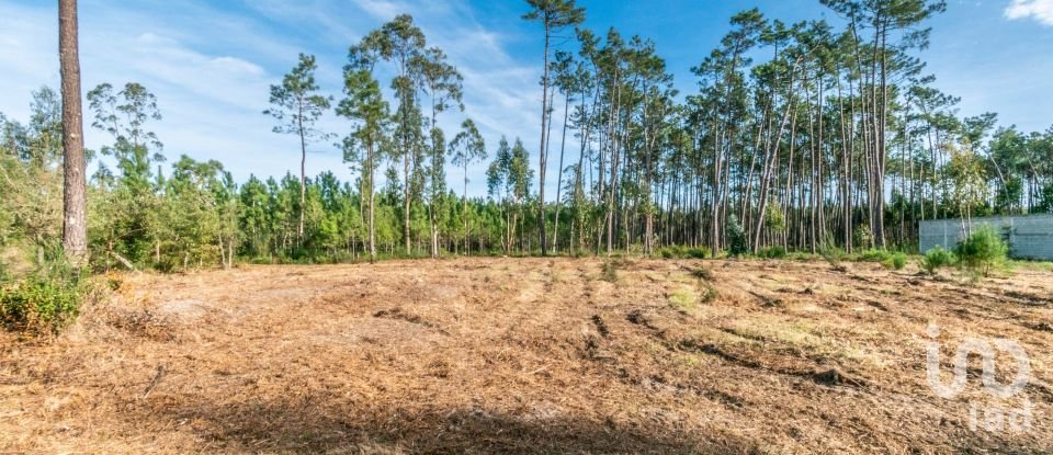 Terreno em Monte Redondo e Carreira de 4 510 m²