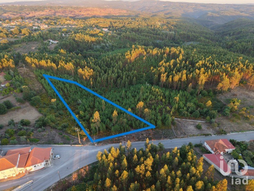 Terrain à Graça de 8 120 m²