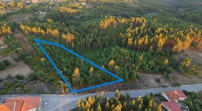 Terrain à Graça de 8 120 m²