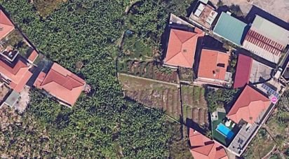 Terrain agricole à São Martinho de 520 m²