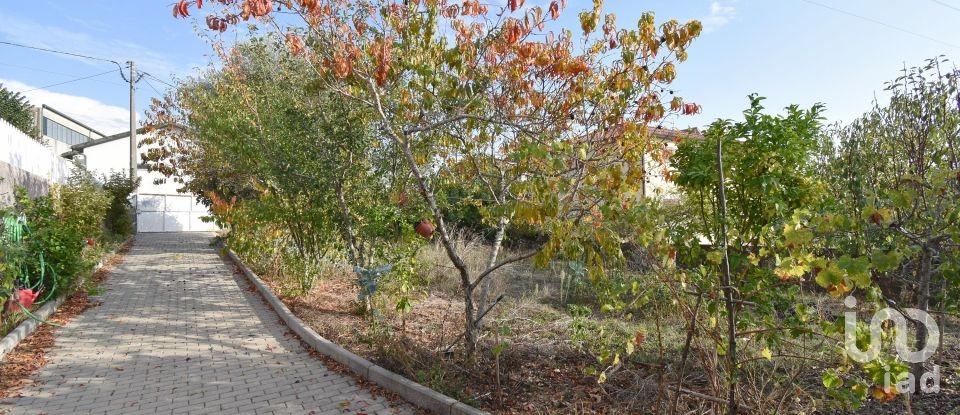 Moradia T3 em Arrifana de 228 m²