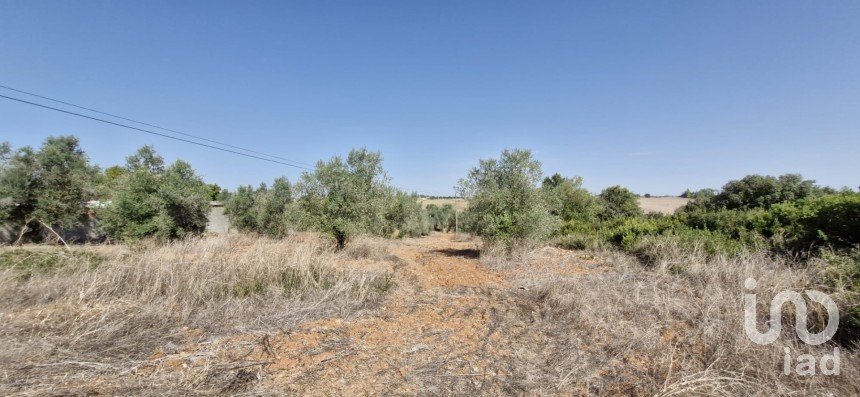 Terreno em Azambujeira e Malaqueijo de 12 080 m²