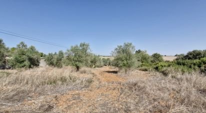 Terrain à Azambujeira e Malaqueijo de 12 080 m²
