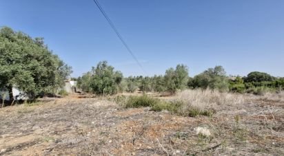 Terrain à Azambujeira e Malaqueijo de 12 080 m²