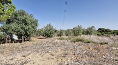 Terrain à Azambujeira e Malaqueijo de 12 080 m²