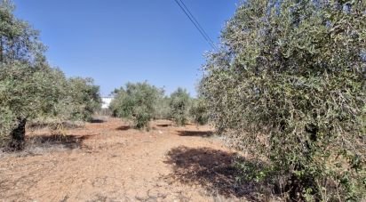 Terrain à Azambujeira e Malaqueijo de 12 080 m²