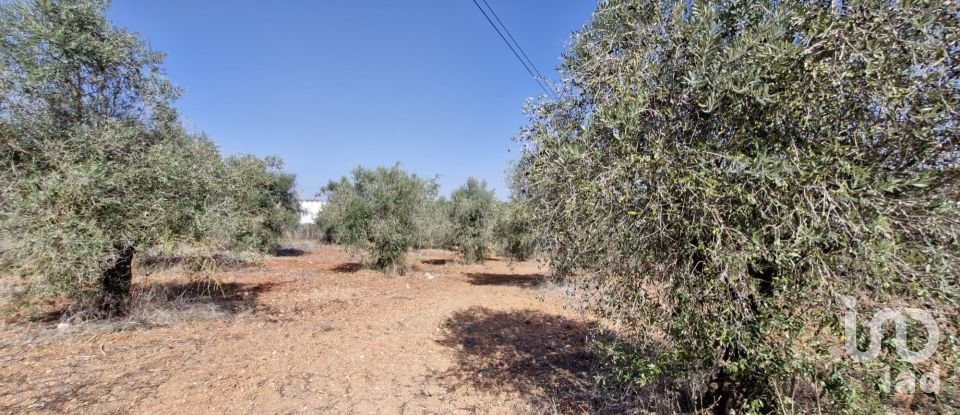 Terreno em Azambujeira e Malaqueijo de 12 080 m²