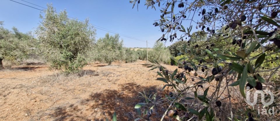 Terreno em Azambujeira e Malaqueijo de 12 080 m²