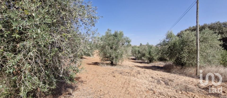 Terreno em Azambujeira e Malaqueijo de 12 080 m²