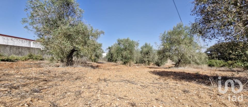 Terreno em Azambujeira e Malaqueijo de 12 080 m²