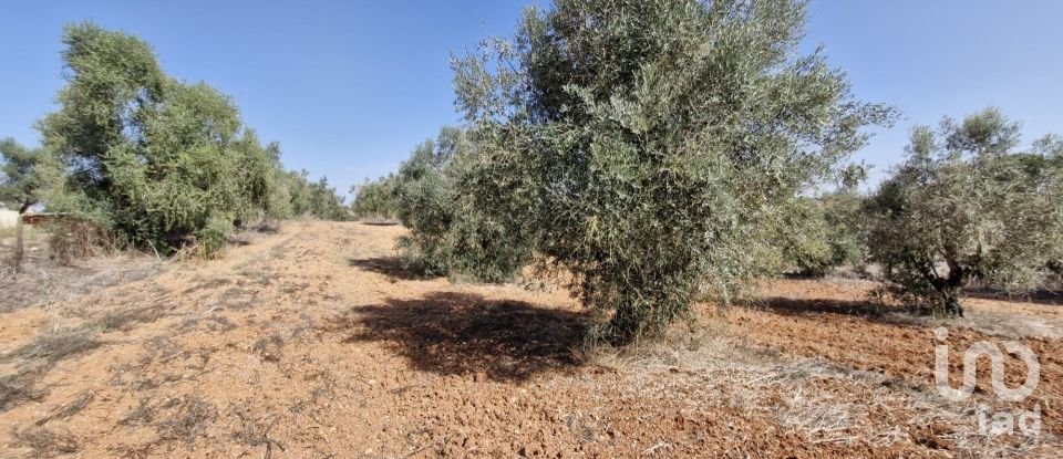 Terreno em Azambujeira e Malaqueijo de 12 080 m²
