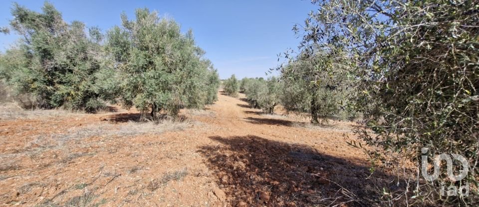 Terreno em Azambujeira e Malaqueijo de 12 080 m²