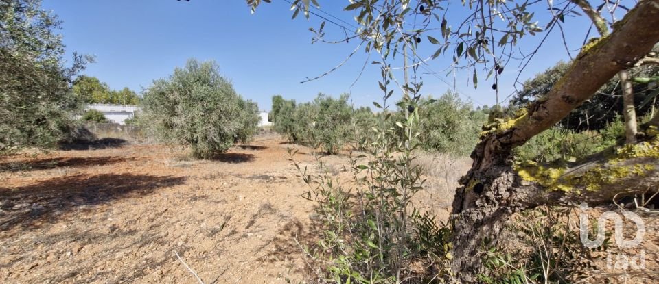 Terreno em Azambujeira e Malaqueijo de 12 080 m²