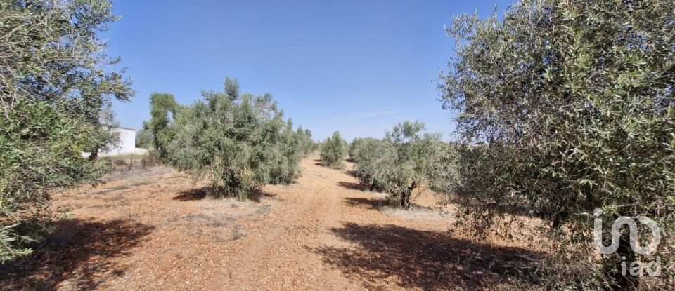 Terreno em Azambujeira e Malaqueijo de 12 080 m²