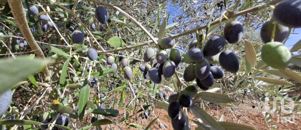 Terreno em Azambujeira e Malaqueijo de 12 080 m²